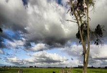 包含清晨欧篮联传出新动向，本菲卡状态回暖，管理层表态——话题不断，球探报告显示潜力的词条-开云官方登录